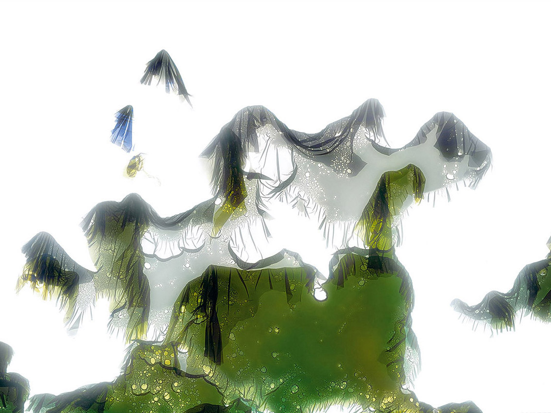 Organic (2007-2008)
